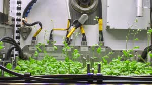 ESPACIO A TIERRA - JUNE 30, 2023